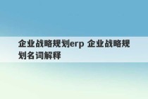 企业战略规划erp 企业战略规划名词解释