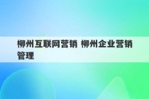 柳州互联网营销 柳州企业营销管理