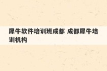 犀牛软件培训班成都 成都犀牛培训机构