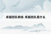 卓越团队教练 卓越团队是什么