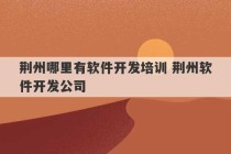 荆州哪里有软件开发培训 荆州软件开发公司