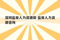 深圳盐田人力资源局 盐田人力资源咨询