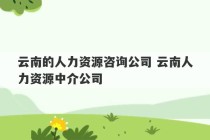 云南的人力资源咨询公司 云南人力资源中介公司