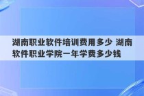 湖南职业软件培训费用多少 湖南软件职业学院一年学费多少钱