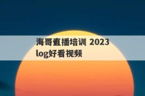 海哥直播培训 2023
海哥vlog好看视频