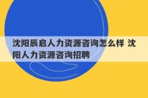 沈阳辰启人力资源咨询怎么样 沈阳人力资源咨询招聘