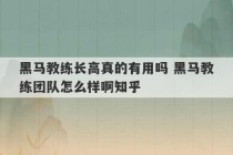 黑马教练长高真的有用吗 黑马教练团队怎么样啊知乎