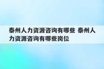 泰州人力资源咨询有哪些 泰州人力资源咨询有哪些岗位