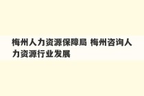 梅州人力资源保障局 梅州咨询人力资源行业发展