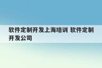 软件定制开发上海培训 软件定制开发公司