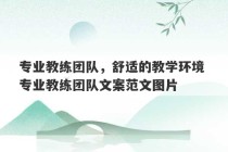 专业教练团队，舒适的教学环境 专业教练团队文案范文图片