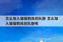 怎么加入猫猫教练团队群 怎么加入猫猫教练团队群呢