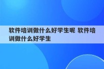 软件培训做什么好学生呢 软件培训做什么好学生