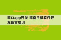 海口app开发 海南手机软件开发语言培训