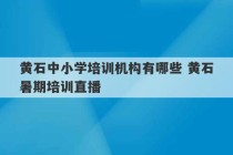 黄石中小学培训机构有哪些 黄石暑期培训直播