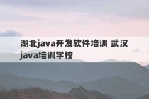 湖北java开发软件培训 武汉java培训学校