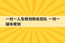 一对一人生规划教练团队 一对一辅导规划