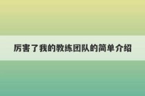 厉害了我的教练团队的简单介绍