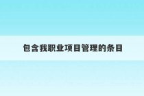 包含我职业项目管理的条目