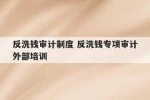 反洗钱审计制度 反洗钱专项审计外部培训