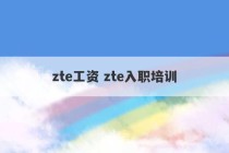 zte工资 zte入职培训