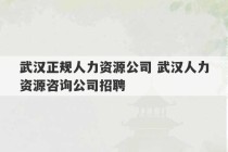 武汉正规人力资源公司 武汉人力资源咨询公司招聘