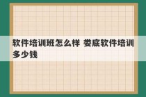 软件培训班怎么样 娄底软件培训多少钱