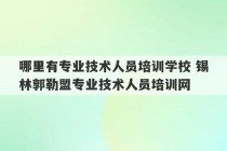 哪里有专业技术人员培训学校 锡林郭勒盟专业技术人员培训网