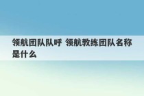 领航团队队呼 领航教练团队名称是什么