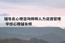 辅导员心理咨询师师人力资源管理 学校心理辅导师