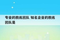 专业的教练团队 知名企业的教练团队是