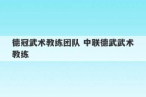 德冠武术教练团队 中联德武武术教练