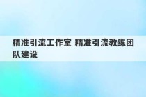 精准引流工作室 精准引流教练团队建设