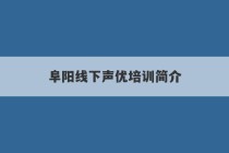 阜阳线下声优培训简介