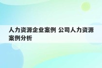 人力资源企业案例 公司人力资源案例分析