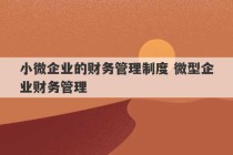 小微企业的财务管理制度 微型企业财务管理