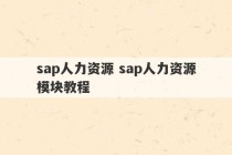 sap人力资源 sap人力资源模块教程