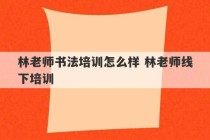 林老师书法培训怎么样 林老师线下培训