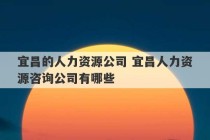 宜昌的人力资源公司 宜昌人力资源咨询公司有哪些