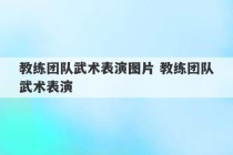 教练团队武术表演图片 教练团队武术表演