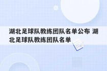 湖北足球队教练团队名单公布 湖北足球队教练团队名单