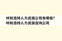 呼和浩特人力资源公司有哪些? 呼和浩特人力资源咨询公司