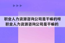 职业人力资源咨询公司是干嘛的呀 职业人力资源咨询公司是干嘛的