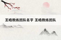 王皓教练团队名字 王皓教练团队