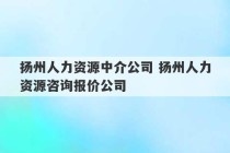 扬州人力资源中介公司 扬州人力资源咨询报价公司