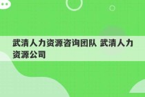 武清人力资源咨询团队 武清人力资源公司