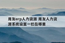 用友erp人力资源 用友人力资源系统设置一栏在哪里