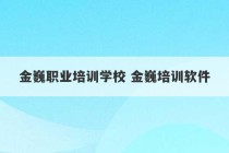 金巍职业培训学校 金巍培训软件