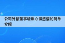 公司外部董事培训心得感悟的简单介绍