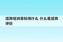 适岗培训目标填什么 什么是适岗评价